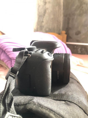 Canon 750D w/ Canon 50mm 1.8 STM