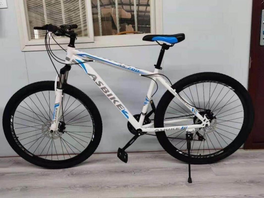 ASBIKE AS-700  26er Mountain Bike