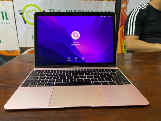 MacBook 12-inch 2017 8GB 256ssd