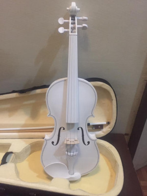 Violin