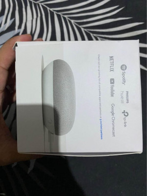 Google Home mini