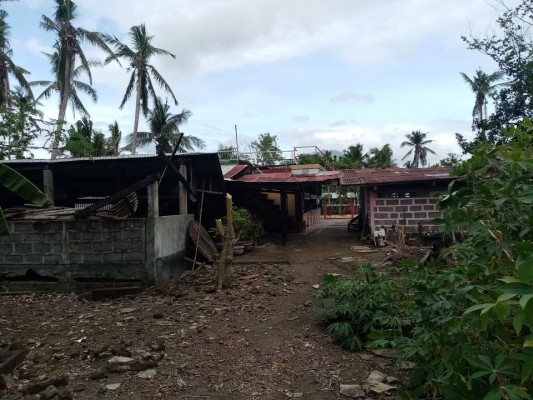 Residential lot/rice mill /Piggery