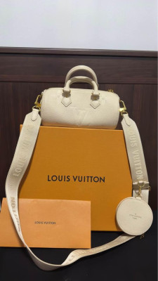 Louis Vuitton Papillon BB