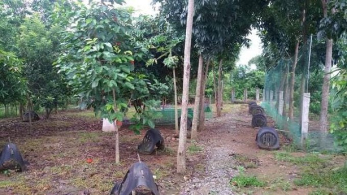 Farm House - Santa Maria, Bulacan