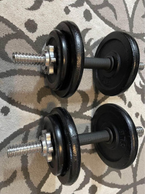 Dumbbells 30lbs