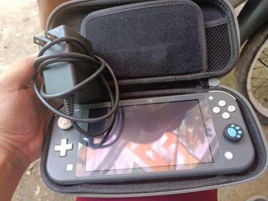 Nintendo switch lite