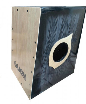 Beat box with pick and Case