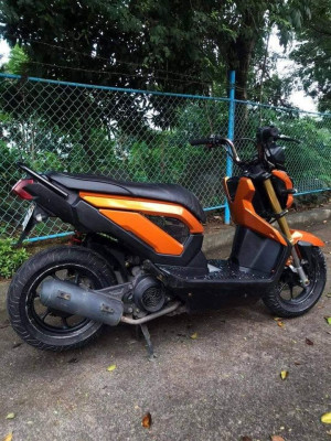 HONDA ZOOMER