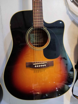 Takamine D Series ED21 SC - TBS Acoustic Guitar