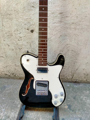 FS/FT: jay turser thinline custom