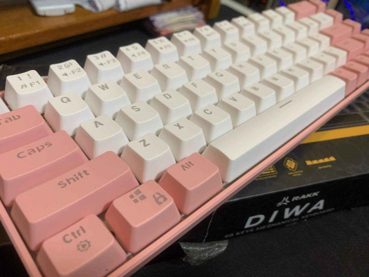 Rakk Diwa Mechanical Keyboard