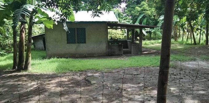 FARM WITH BUNGALOW HOUSE