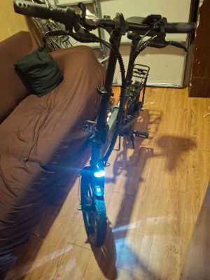 Fiido d2s folding electric bike