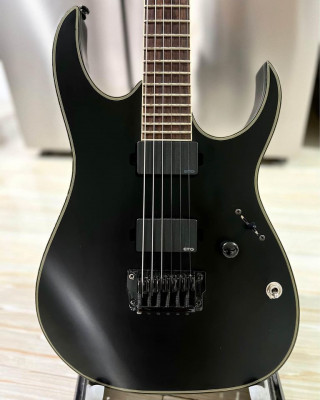 Ibanez Iron Label RGIR30BFE - Black Flat (EMG)