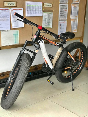 Viper Boost 4.0 Fat Bike