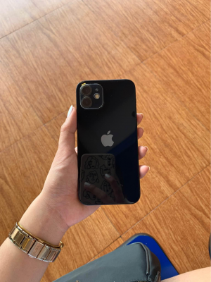 iphone 12 (not mini)