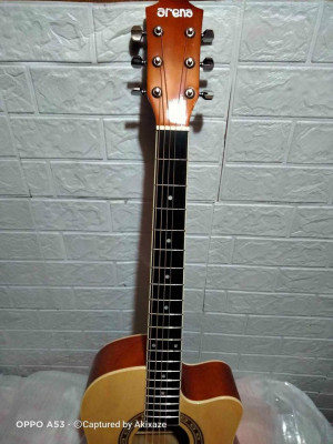 Brand New Arena Guitar