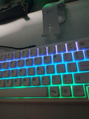 Rakk Pirah w Akko Ocean Blue