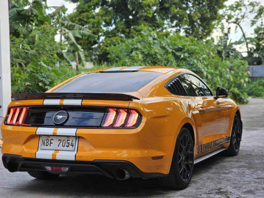 2019 Ford mustang ecoboost