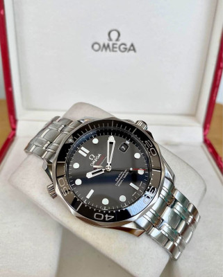 2013 Omega Seamaster Professional