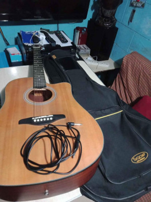 For Sale! SQOE Guitars Slick 310CEQ Acoustic Guitar