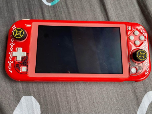 Nintendo switch lite