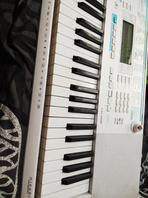 Casio LK-228 Digital Piano/Keyboard