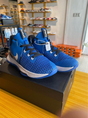 BasketBall Shoes Lebron Witness 5