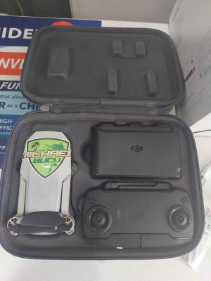 Dji mavic mini