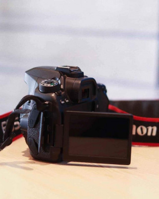 Canon EOS 80D (Body)