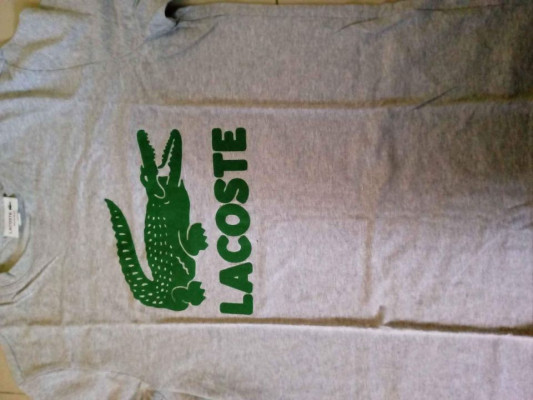 Lacoste Shirt