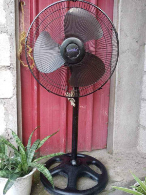 Electric fan