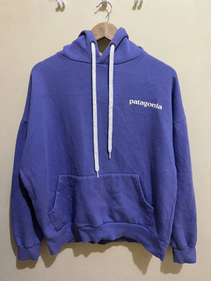 Patagonia Backhit Hoodie in Lavender