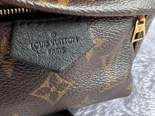 Louis Vuitton Mini Palmspring