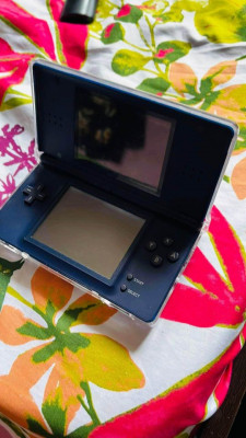 Nintendo 2DS in Prestine Condition