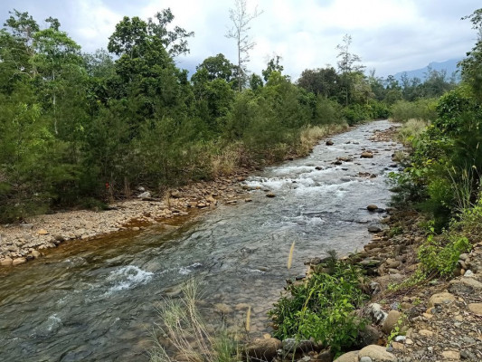 1.3M for 6 hectares Farm Lot with a River