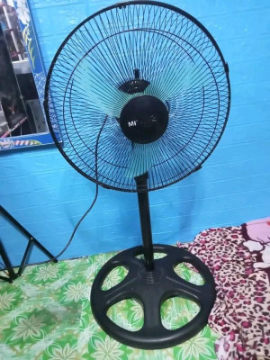 Standfan