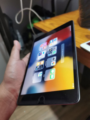 Apple Ipad Mini 5