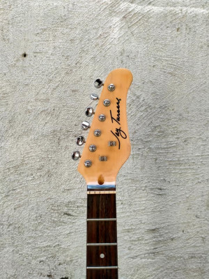 FS/FT: jay turser thinline custom