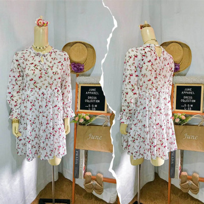 Trendy Dress/Puff Dress