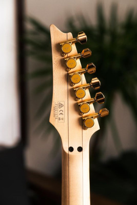 Ibanez Pia Envy Green