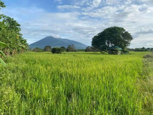 Lot - Magalang, Pampanga