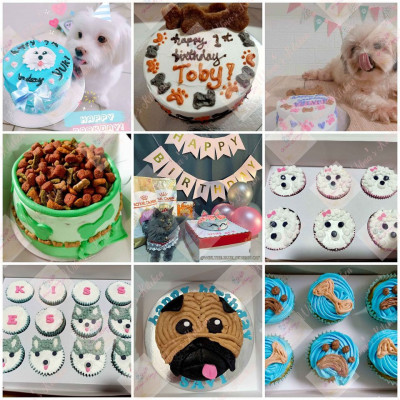 Cake for Pets / Cake for Dogs and Cats