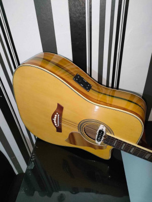 Acoustic Guitar with Pick up.
