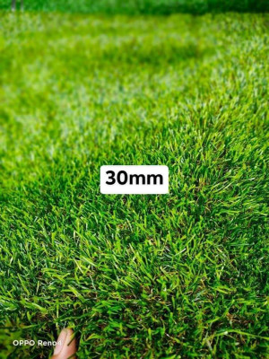 Artificial Grass Carpet