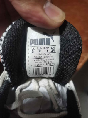 puma