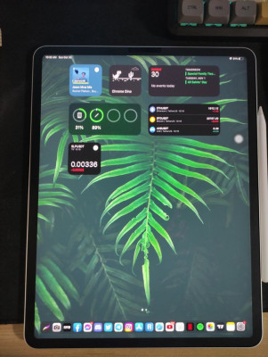 iPad Pro 12.9 (4th Generation) 256 gb