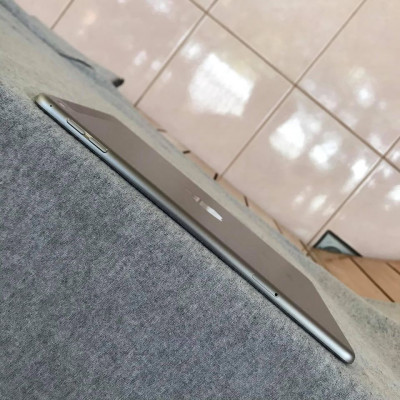 iPad Mini 4 64Gb Space Gray With Cellular