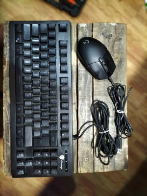 Logitech Mouse G102 and Badwolf RGB keyboard BW-87