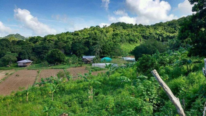 Organic Farm For Sale